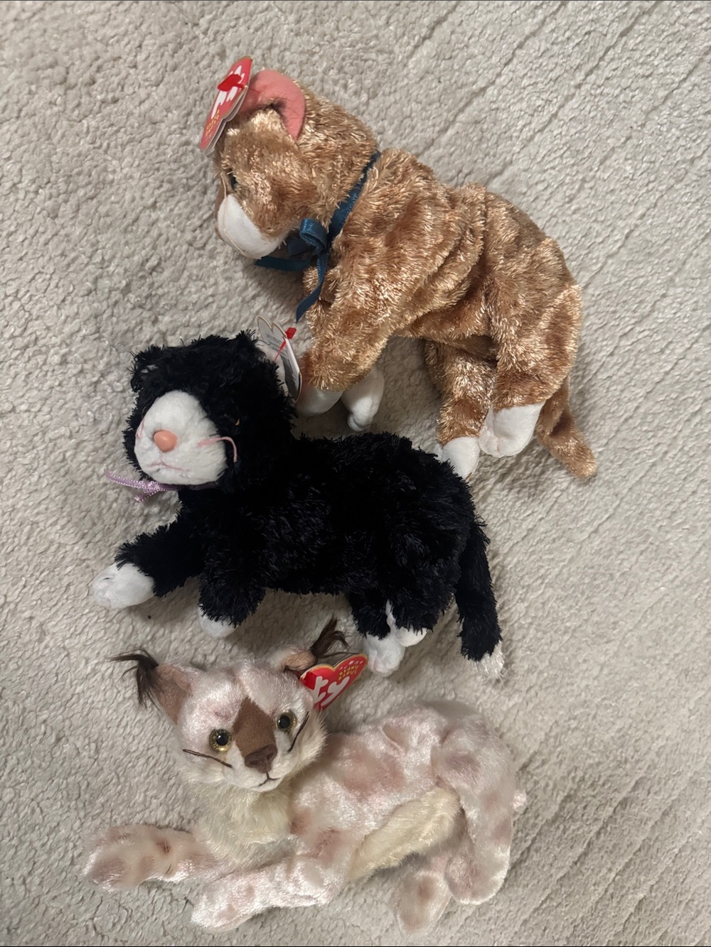 Ty Plush Cat beanie babies - Black, Brown, Cream